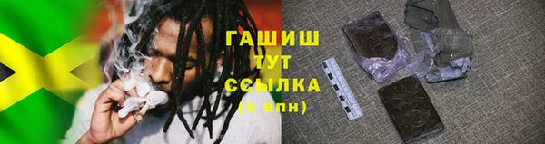 гидра Володарск