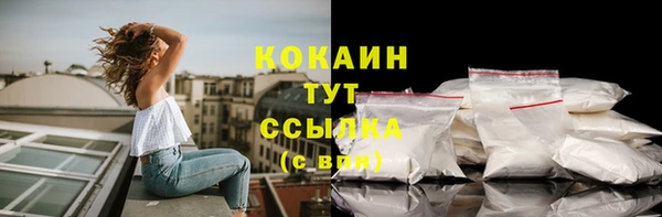 гидра Володарск