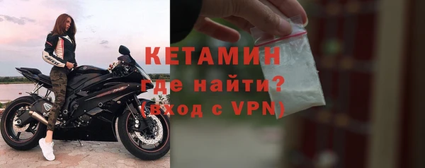 гидра Володарск