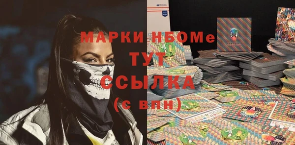 гидра Володарск