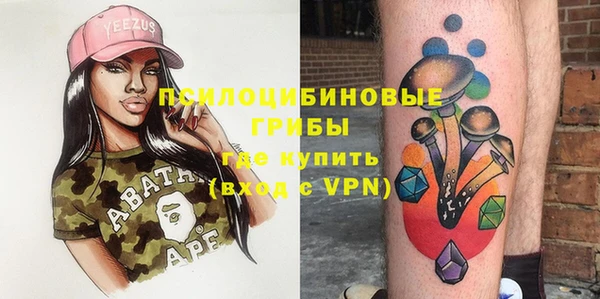 шишки Вязники