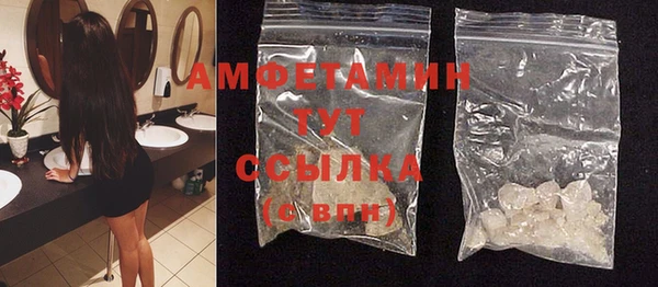гидра Володарск