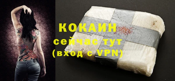 шишки Вязники