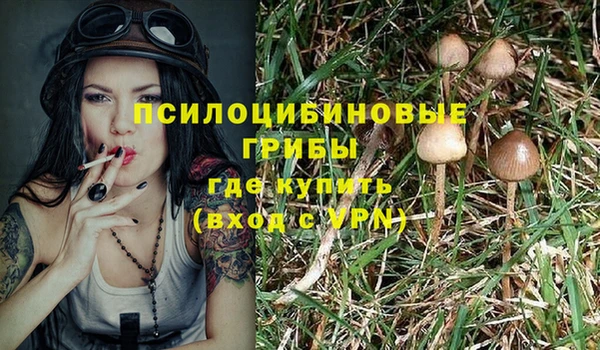 spice Волоколамск