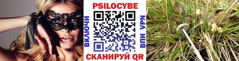 Псилоцибиновые грибы мухоморы  Гусев 